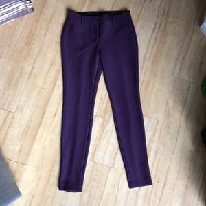 Express Work Pants